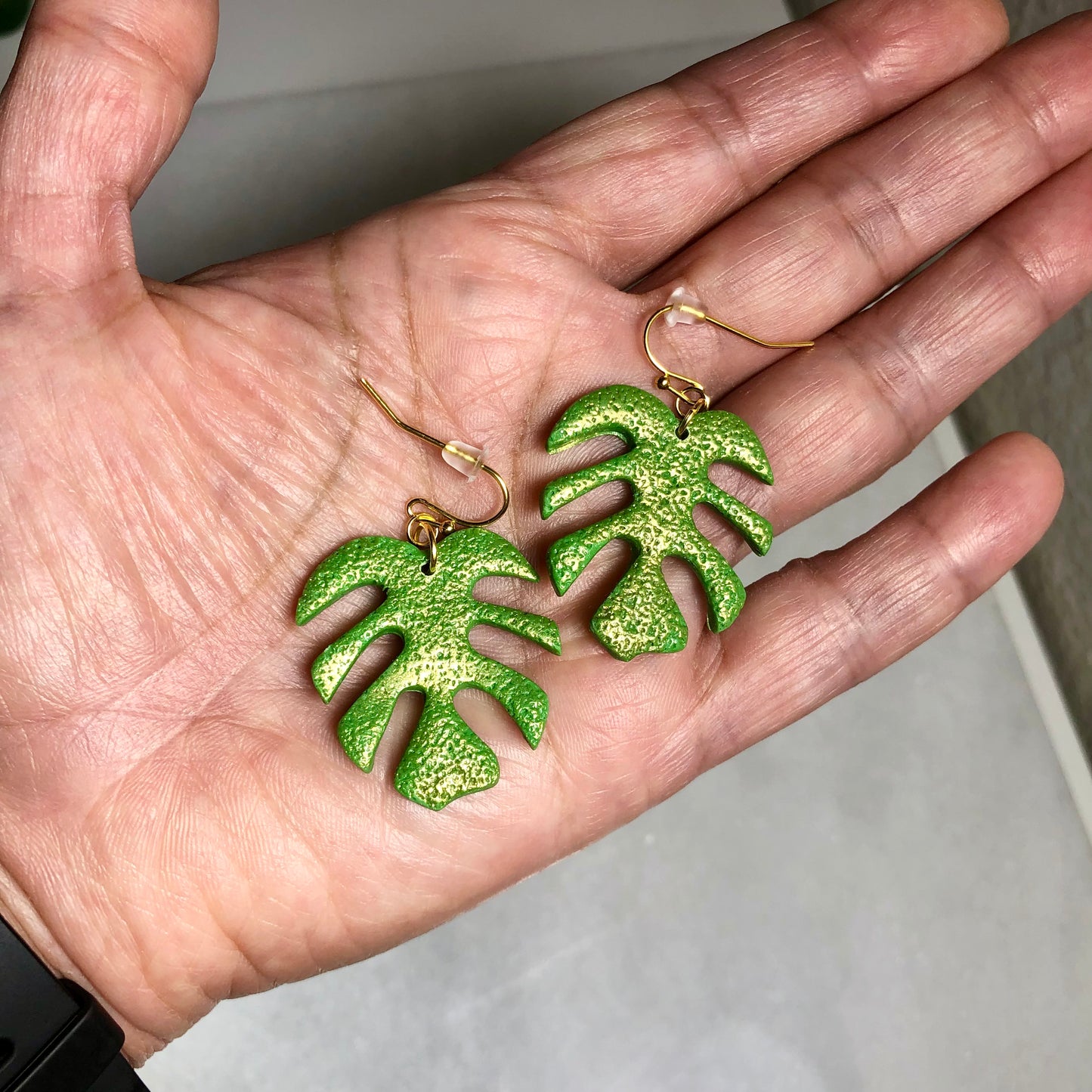 Small Monstera